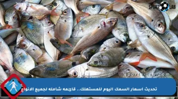 تحديث أسعار السمك اليوم للمستهلك.. قائمة شاملة لجميع الأنواع